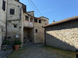 IMG_5221