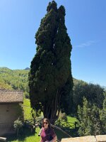 IMG_5224