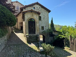 IMG_5229