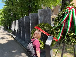IMG_5238