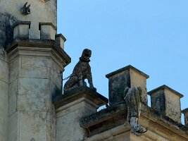 IMG_5247