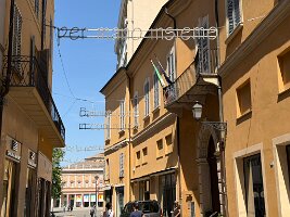 IMG_5250