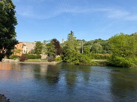 IMG_5265