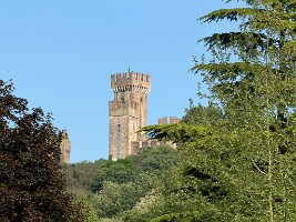 IMG_5266