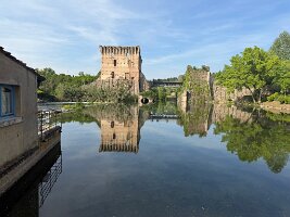 IMG_5274