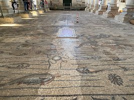 IMG_2547