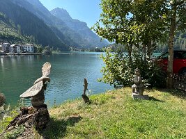 IMG_7233