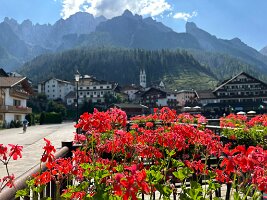 IMG_7237