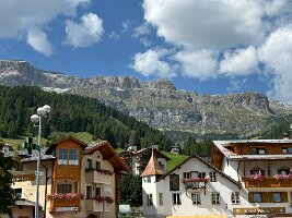 IMG_7242