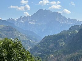 IMG_7250