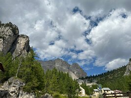 IMG_7252