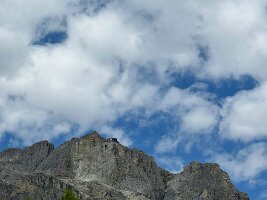 IMG_7253