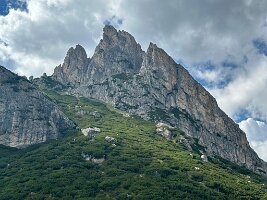 IMG_7254