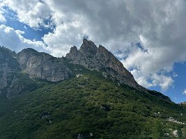 IMG_7255