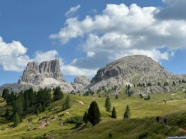 IMG_7259