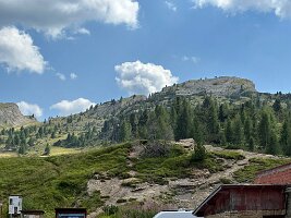 IMG_7260
