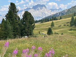 IMG_7261
