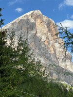 IMG_7263