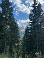 IMG_7269
