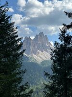 IMG_7271