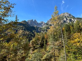 IMG_7633