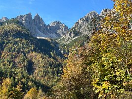 IMG_7636