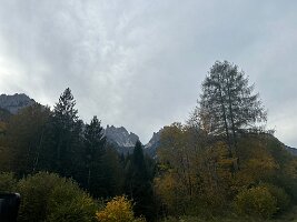 IMG_7680