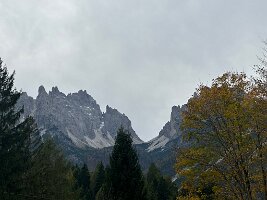 IMG_7681