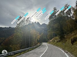 IMG_7684