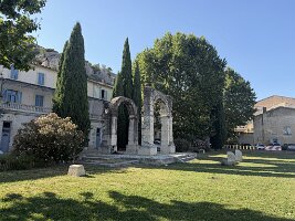IMG_6403