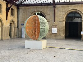 IMG_6414