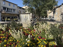 IMG_6415