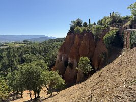 IMG_6437