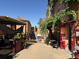 IMG_6442