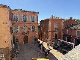 IMG_6443