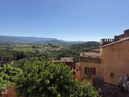 IMG_6444