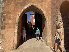 IMG_6445