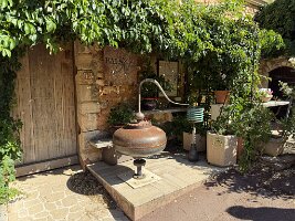 IMG_6446