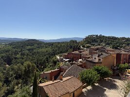 IMG_6447