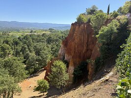 IMG_6459