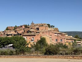IMG_6461