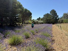 IMG_6467