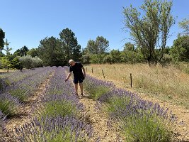 IMG_6468