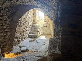 IMG_6481