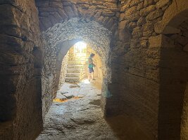IMG_6482