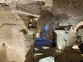 IMG_6484