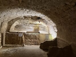 IMG_6485