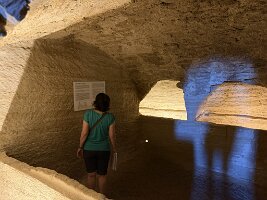 IMG_6486