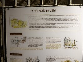 IMG_6491