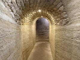 IMG_6496